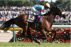 第60・61回宝塚記念　アーモンドアイ